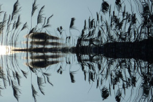 Стали известны подробности гибели 9-летнего мальчика в пруду центре Мурома