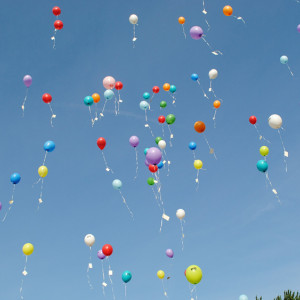 Жителей Владимирской области предупредили о фейковой акции «Небесный полк»