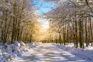 Прогноз погоды во Владимире и области на 14 февраля