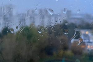 Владимирская область оказалась в эпицентре арктического вторжения