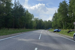 В ДТП с двумя легковушками в Судогодском районе пострадали 2 человека