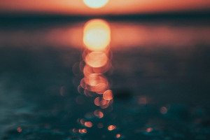 Во Владимирской области нашли мертвым пропавшего в галошах судогодца  