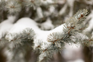 Прогноз погоды во Владимире и области на 7 марта