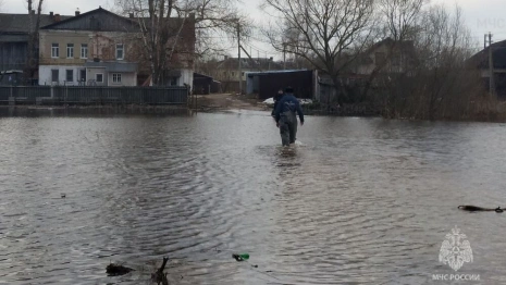 МЧС назвало наиболее пострадавшие от половодья города и районы Владимирской области