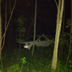 Во владимирском лесу нашли угнанную в Переславле иномарку ценой в 2 млн рублей