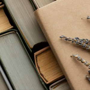 Во Владимирской области в 12-й раз пройдет «Библионочь»
