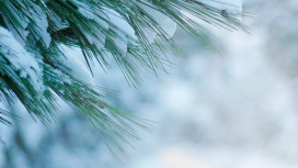 Прогноз погоды во Владимире и области на 22 декабря 2025 года