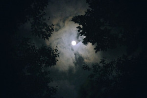 Во Владимирской области вновь пропала эвакуированная из леса пенсионерка