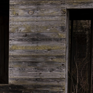 Жительница села под Юрьев-Польским обнаружила труп 48-летнего мужчины в сарае