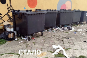 Во Владимире стихийная свалка со Спасской переехала к книжному магазину