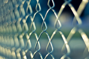 Во Владимирской области аспиранта отправили под домашний арест за призывы к терроризму 