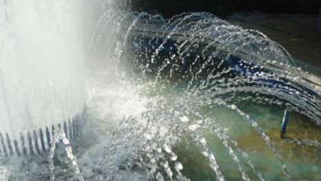 Владимирцев предупредили о рисках подхватить гепатит при купании в фонтанах