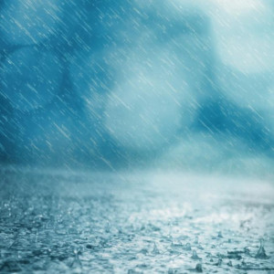 Прогноз погоды во Владимире и области на 15 октября 2025 года