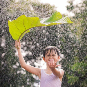 Прогноз погоды во Владимирской области 8 сентября