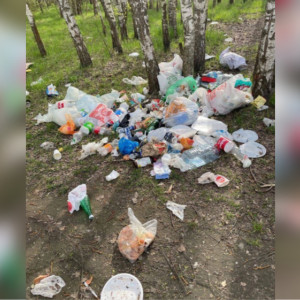 Жители Владимира пожаловались на замусоренный лес