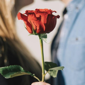 Альфонс из Владимирской области развел четырех женщин на 1,6 млн рублей