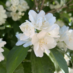 Во Владимирскую область придут дожди и 23-градусная жара