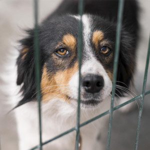 Власти Владимирской области выделили 16 млн рублей закрывающемуся приюту