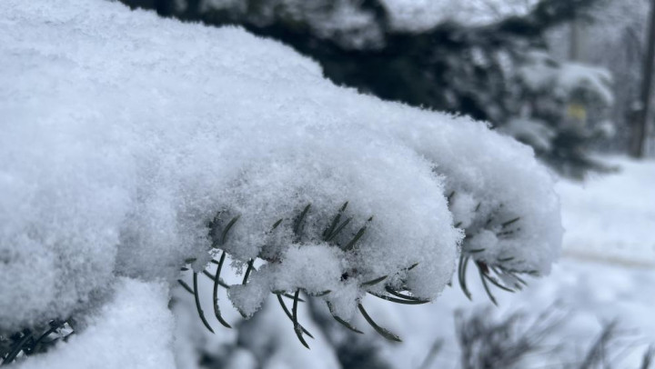 Февраль во Владимирской области закончится оттепелью