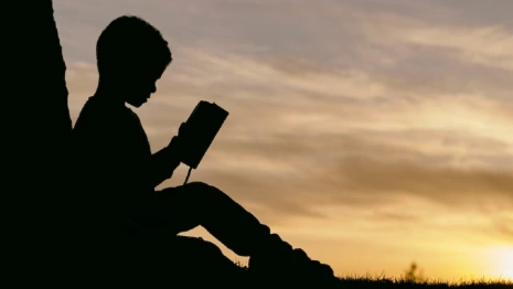 Во Владимире нашли живым пропавшего 10-летнего школьника