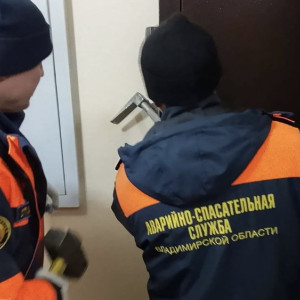 Во Владимирской области спасатели съехались к заперевшейся в квартире бабушке
