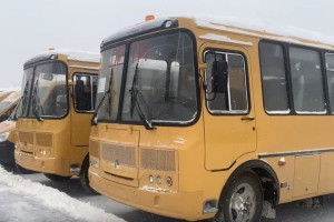 Во Владимире отменили рейс автобуса из Лунево к школе №46