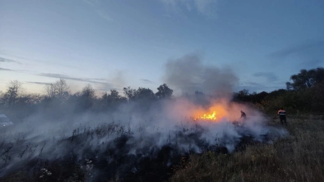 Во владимирском микрорайоне Оргтруд загорелась сухая трава