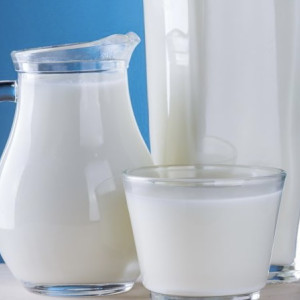 Во Владимирской области нашли 24 партии опасного молока