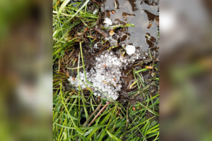 Последствия майского града во Владимирской области показали на фото