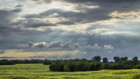 Прогноз погоды во Владимирской области на 10 июля