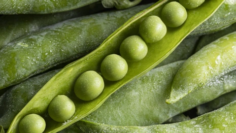 Иов Горошник: что можно и нельзя делать 19 мая