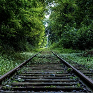 Во Владимирской области прекратили поиски пропавшей еще в мае жительницы Шуи