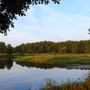 В Суздале расчистят и углубят Нерль