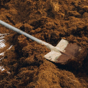 Во Владимирской области раскрыли убийство 15-летней давности