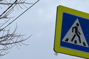 В Гусь-Хрустальном супруги отсудили 190 тыс. рублей у сбившего их автомобилиста