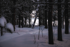 Во Владимире объявили повторные поиски 35-летнего мужчины на лыжах