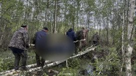Гибель 38-летнего жителя Гусь-Хрустального района в лесу обернулась уголовным делом
