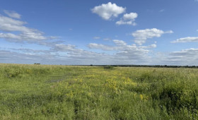В середине апреля во Владимирскую область нагрянет 20-градусная жара