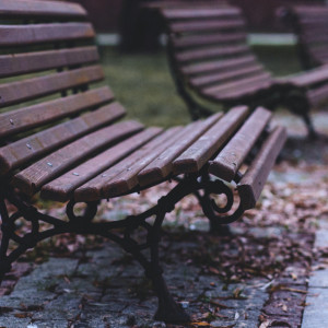 Во Владимирской области вандалы устроили погром в парке