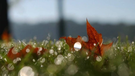 Рабочая неделя во Владимире начнется с похолодания
