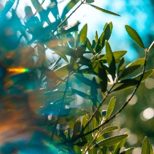 Синоптики рассказали о возвращении апрельского тепла во Владимирскую область