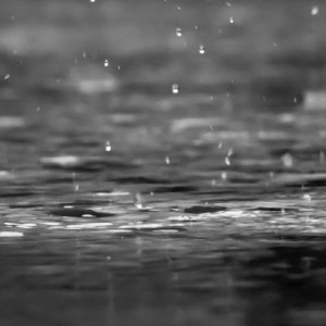 Владимирскую область затопят дожди и талые воды 