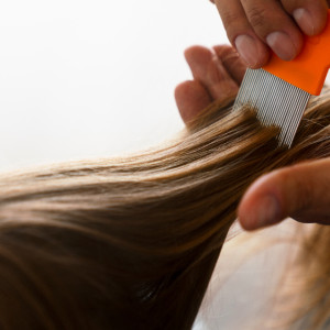 Гайд «День во Владимире». Как уберечь ребенка от педикулеза