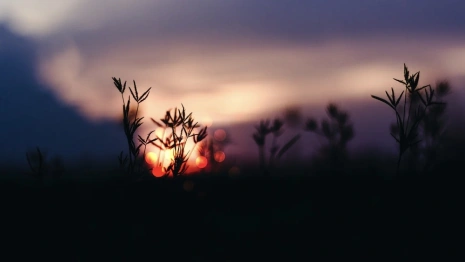 День осеннего равноденствия: что можно и нельзя делать 22 сентября