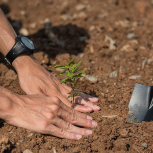 Семен Ранопашец: что можно и нельзя делать 10 мая