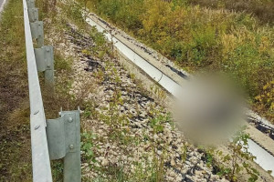 Жителя Орехово-Зуево будут судить за жестокое убийство женщины во Владимирской области