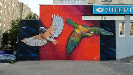 Краснокнижные птицы украсили стену во Владимире