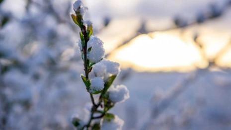 Прогноз погоды во Владимире и области на 27 февраля