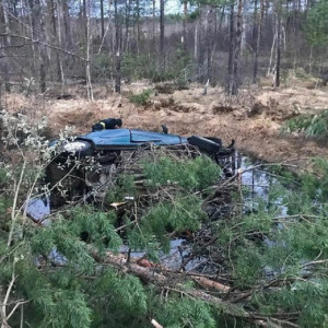 Во Владимирской области водитель улетел в болото и погиб