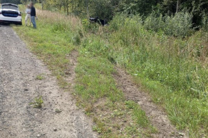 В Гусь-Хрустальном районе легковушка улетела в кювет: пострадал 13-летний ребенок